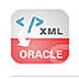 XmlToOracle V2.2 官方版